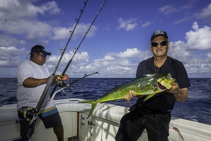 Alquiler Lancha Bertram 1986 Puerto Aventuras