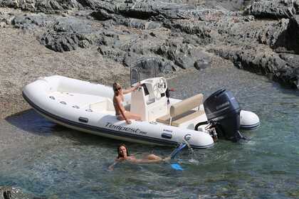 Rental Boat without license  Capelli Tempest 530 Cannigione