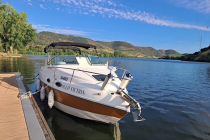 Charter Motorboat Stingray 729 ZP Pocinho