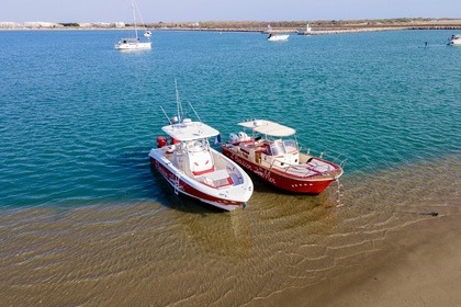 Location Bateau à moteur Beacher 300 chvx Le Grau-du-Roi