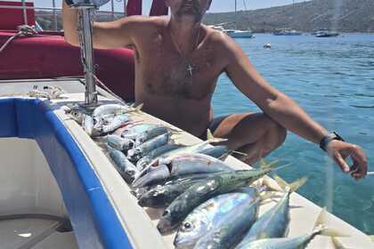 Charter Motorboat Luhrs 27 Big game Fishing Primošten