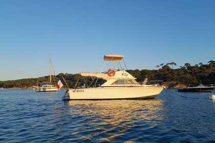 Charter Motorboat Bertram 28 Fly Hyères