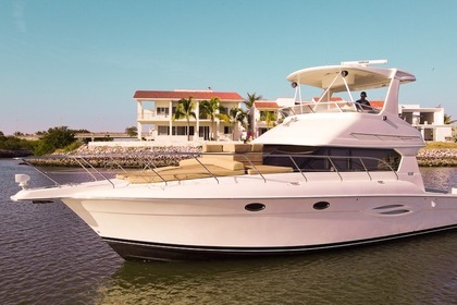 Alquiler Lancha Silvertone 440 flybridge Mazatlán