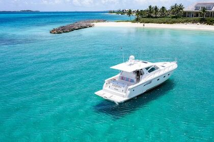 Rental Motor yacht Tiara 4000 Express New Providence