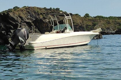 Miete Motorboot Jeanneau Cap camarat 7.15 Cerbère