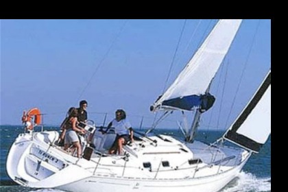 Verhuur Zeilboot Dufour Dufour 36 Classic Porto Civitanova