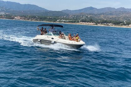 Miete Motorboot Sea Ray SUNDECK 240 Marbella