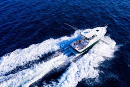 Hire Motorboat Pursuit 3400 "Express" Monaco