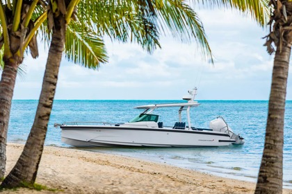 Rental Motorboat Axopar 29 ST Saint Martin