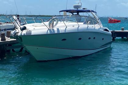 Miete Motorboot Sunseeker 2012 Cancún