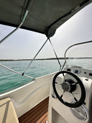 Es Trenc Motorboat Remus 450sc alt tag text