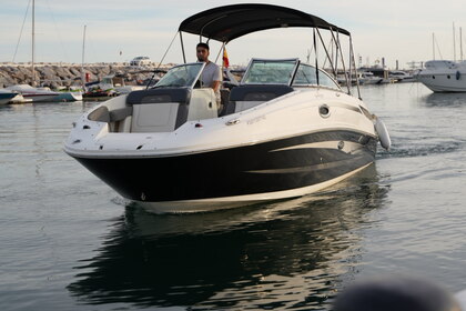 Verhuur Motorboot Sea Ray 260 Marbella