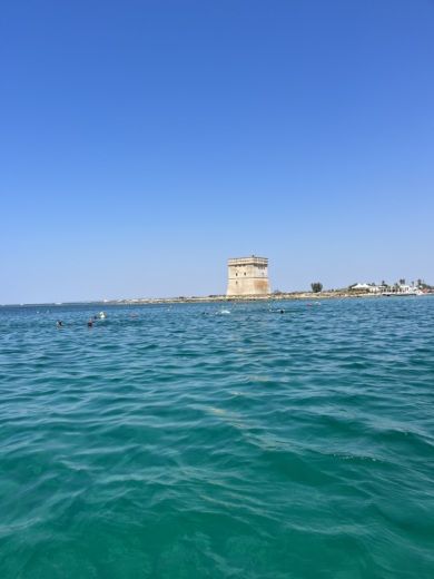 Porto Cesareo Without license Salento Marine Elite 19 alt tag text