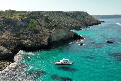 Hire Motorboat Astillero Palma (Baleares) MWM Diter Tipo TD229/4 S'Arenal