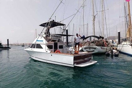 Alquiler Lancha Bertram Bertram 28 Fuerteventura