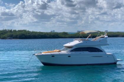 Verhuur Motorboot Meridian Yachts 430 Cancún