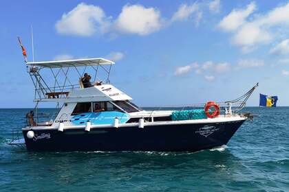 Hire Motorboat Princess 37 Alicante