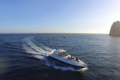 Alquiler Lancha Sea Ray cruiser Cabo San Lucas