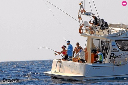 Alquiler Lancha Rodman Rodman 10.40 Isla Cristina