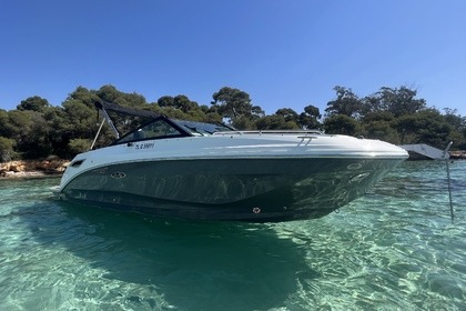 Rental Motorboat Sea Ray 250 SDX Saint-Raphaël