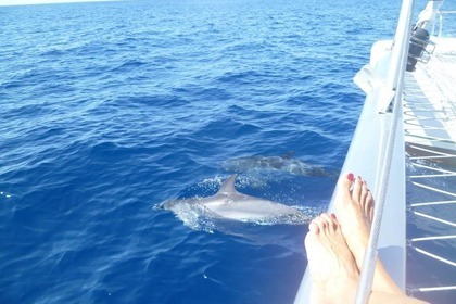 Alquiler Catamarán FOUNTAINE PAJOT ATHENA 38 Morro Jable