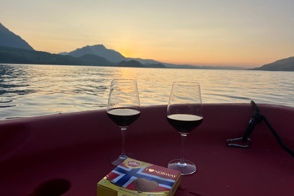 Location Bateau à moteur Pioner 10 Classic Leissigen