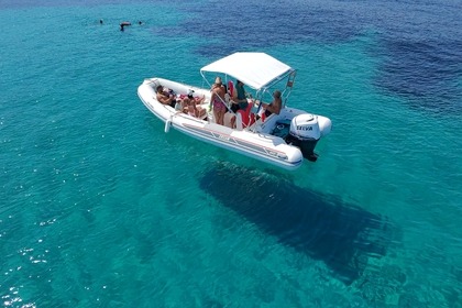 Rental RIB Selva Marine 640 Les Issambres