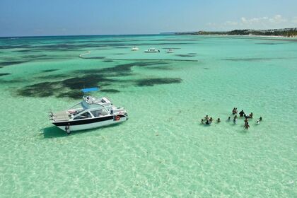 Hyra båt Motorbåt catamaran apc catamaran apc Punta Cana
