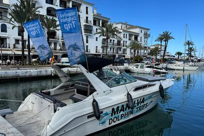 Rental Motorboat Sea Ray Sundancer 330 Manilva