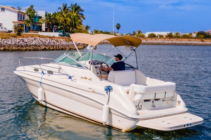 Alquiler Lancha Sea Ray 240 Sundancer Mazatlán