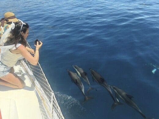 Sailboat Jeanneau Sun Odyssey 399i Planta da embarcação