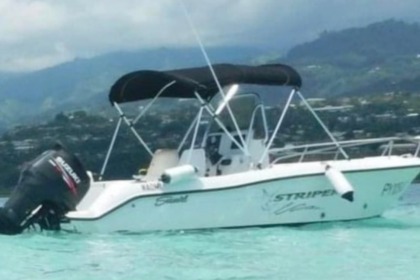 Rental Motorboat Seaswirl 2100 Striper Paopao