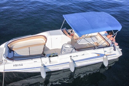 Hire Motorboat Sea Ray 240 Sundeck Marbella