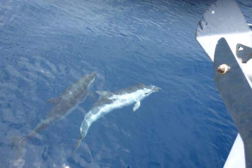 Manfredonia Sailboat Jeanneau Sun Odyssey 40.3 alt tag text