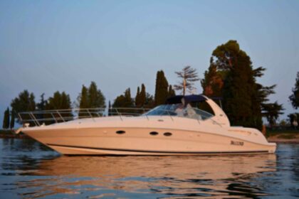 Charter Motorboat Sea Ray 455 Moniga del Garda