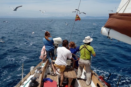 Alquiler Velero Cheoy Lee 41 CL El Masnou