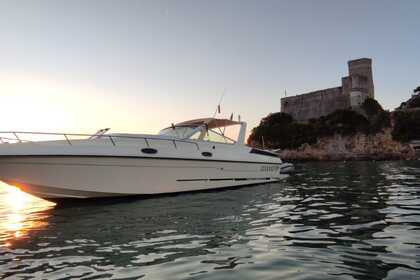 Czarter Łódź motorowa Tour del Golfo dei Poeti Airon marine 36 Prowincja La Spezia