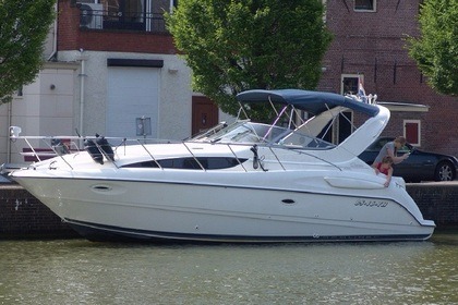 Miete Motoryacht Bayliner 3055si ciera sunbidge Aalsmeer