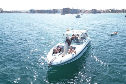 Alquiler Lancha Sea Ray 290 Dlx Torrevieja