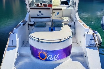 Rental Motorboat Dalla Pieta' 28 ALTAIR Capri