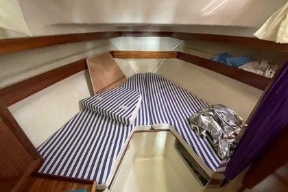 Location Bateau à moteur Acm Élite 31 Larmor-Plage