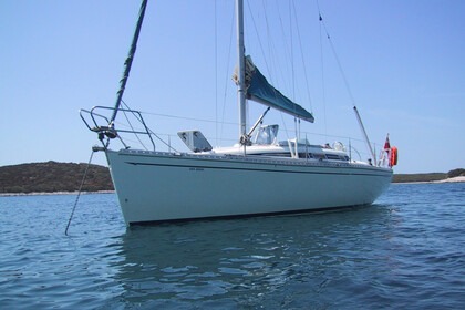 Charter Sailboat  Elan 333 Poole