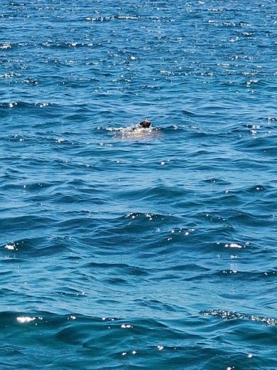 Porto Cesareo Without license Marinello Eden 18 alt tag text