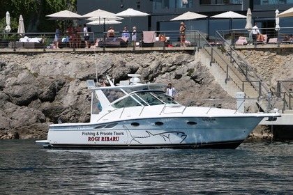 Charter Motorboat Tiara 35 open Ičići