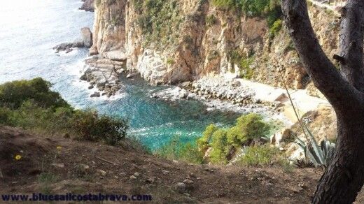 Lloret de Mar Motorboat Bluesail 32 Pro alt tag text