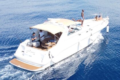 Verhuur Motorboot Sea Ray SUNDANCER 45' Playa del Carmen