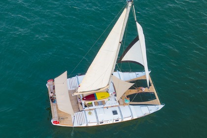Hire Catamaran wharram pahi Cartagena