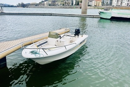 Hire Motorboat Stip 40 Tournon-sur-Rhône