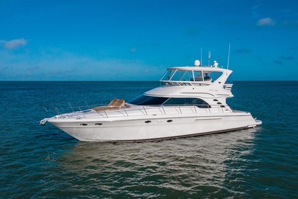 Rental Motor yacht Sea Ray 2020 Dubai Marina