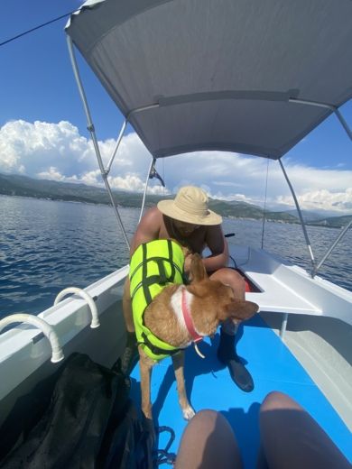 Dubrovnik Without license Traditional boat Pasara alt tag text